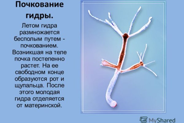 Даркнет наркотики